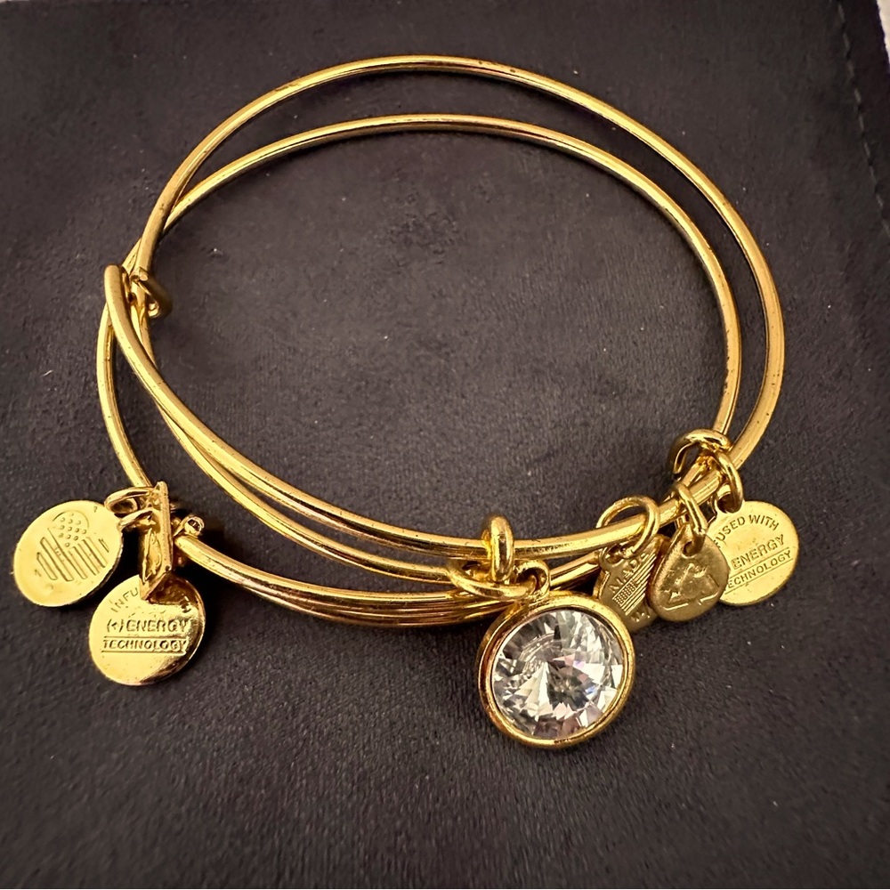 Alex & Ani Charm Bracelets (Two)